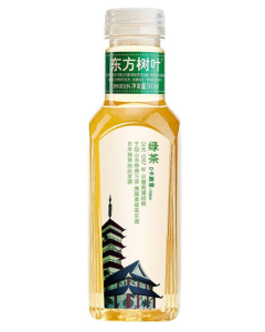 东方树叶绿茶500ML